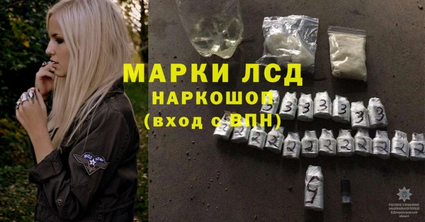 спайс Алзамай